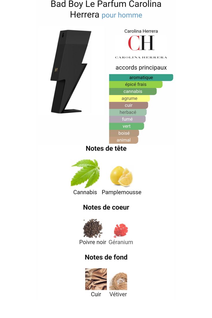 Bad Boy Le Perfume